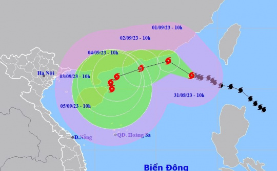 Chủ động ứng phó với bão Saola