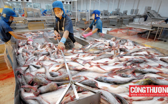 Thuỷ sản Vĩnh Hoàn (VHC): Hàng tồn kho lên gần 4.000 tỷ, kỳ vọng lợi nhuận tăng trở lại từ quý 4/2023