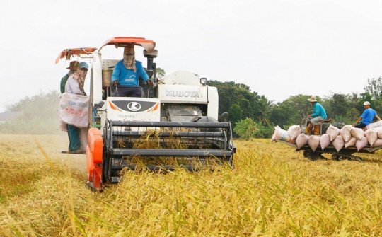 Chớp thời cơ, đẩy mạnh hoạt động sản xuất và xuất khẩu gạo Việt Nam