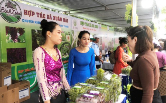 Ninh Thuận: Tăng cường xúc tiến thương mại, kết nối tiêu thụ sản phẩm địa phương