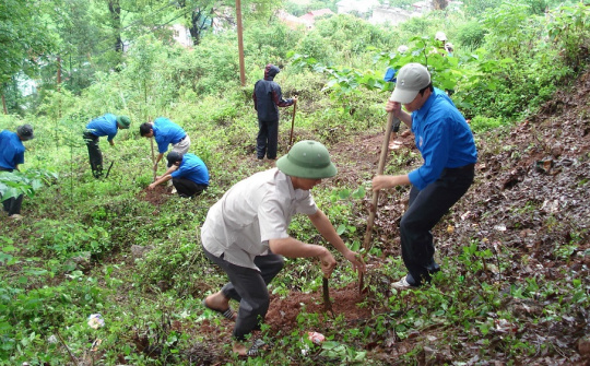 Gỡ khó cho các dự án chuyển mục đích sử dụng rừng