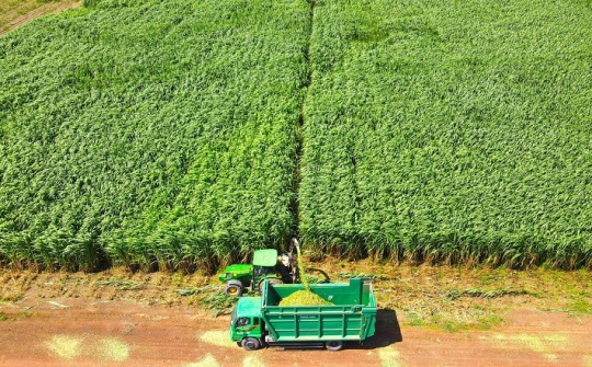 THACO AGRI: Cơ giới hóa trong sản xuất nông nghiệp quy mô lớn