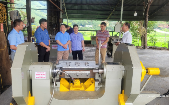 Tuyên Quang: Hỗ trợ ứng dụng thiết bị tiên tiến trong sản xuất gỗ ghép thanh