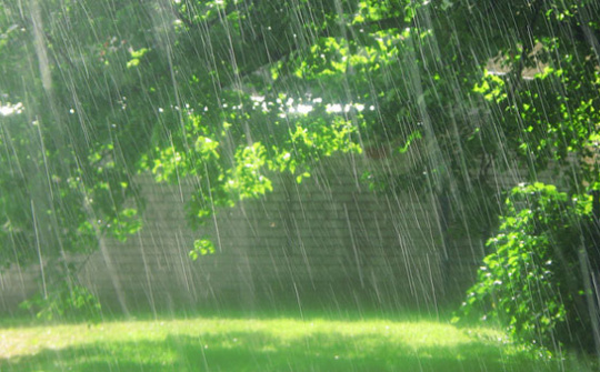 Thời tiết hôm nay ngày 11/9/2023: Hà Nội, Thành phố Hồ Chí Minh mưa to, Đà Nẵng ngày nắng