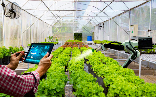 Công tác quản lý nhà nước với doanh nghiệp sản xuất - kinh doanh nông sản trong thương mại điện tử