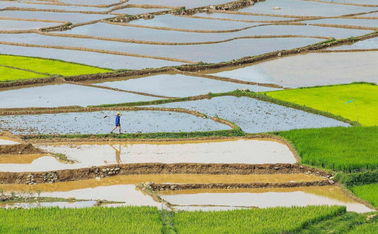 Đảm bảo nước gieo cấy vụ Đông Xuân và cung cấp điện mùa khô 2024