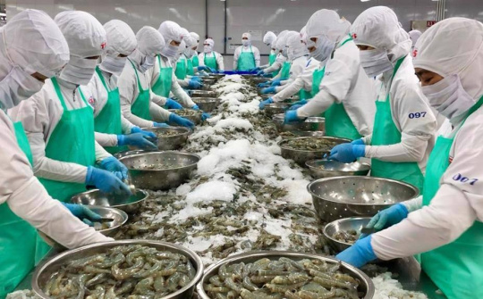 Xuất khẩu thuỷ sản Việt Nam sang Hoa Kỳ tăng 80% sau 10 năm