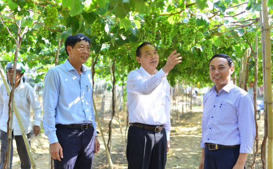 Analyzing the factors affecting the business performance of small and medium-sized enterprises in Ninh Thuan province