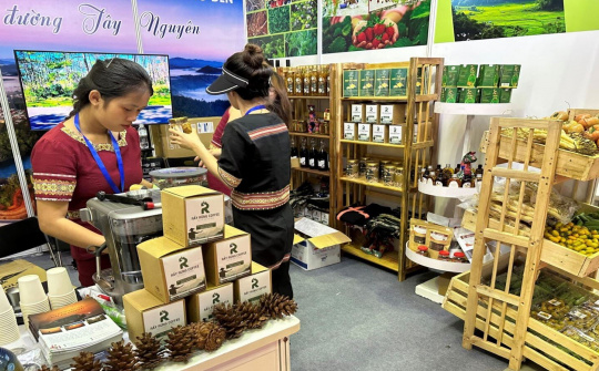 Kon Tum: Đẩy mạnh phát triển công nghiệp chế biến nông sản, năng lượng tái tạo