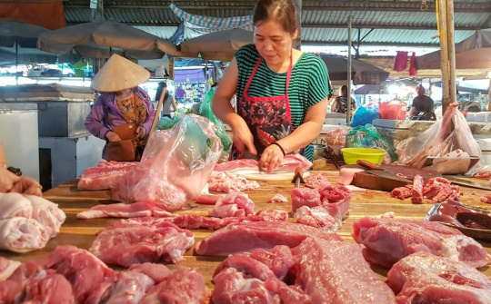 Giá heo hơi hôm nay 15/9: Đà giảm giá tại miền Bắc chưa có dấu hiệu ngừng