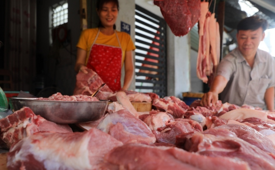 Giá heo hơi hôm nay 16/9: Có thể tiếp tục giảm trong tuần sau?