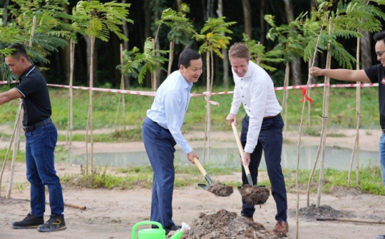 Tập đoàn LEGO hoàn thành cam kết trồng 50.000 cây xanh