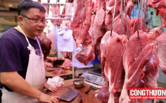 Giá heo hơi hôm nay 19/9: Người dân chuẩn bị sẵn sàng tái đàn, giá heo giống tăng trở lại