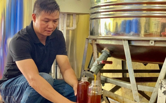 Ứng dụng thiết bị tiên tiến trong chế biến mật ong tại Gia Lai