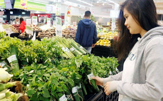 Nghiên cứu các yếu tố ảnh hưởng đến hành vi tiêu dùng xanh của sinh viên các trường đại học tại thành phố Cần Thơ