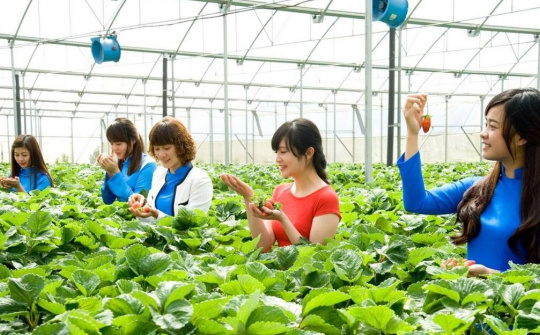 Các yếu tố ảnh hưởng đến quyết định chọn tham gia mô hình du lịch canh nông của du khách tại thành phố Đà Lạt, tỉnh Lâm Đồng