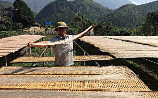 Làm giàu trên diện tích đất kém hiệu quả