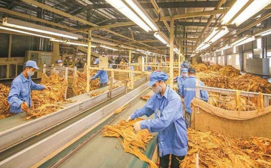 Đề xuất hạn ngạch nhập khẩu thuốc lá nguyên liệu trên 71.800 tấn năm 2024