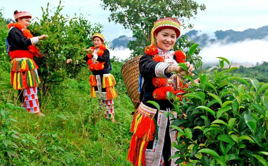 Quảng bá thương hiệu sản phẩm qua hoạt động văn hoá - du lịch