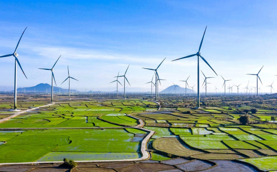 Cổ đông lớn nhất VNDirect (VND) đã xử lý xong toàn bộ số trái phiếu Trung Nam Group