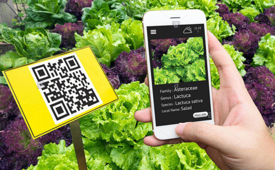 Truy xuất nguồn gốc bằng QRCode - Đảm bảo tính chính xác và xác thực sản phẩm