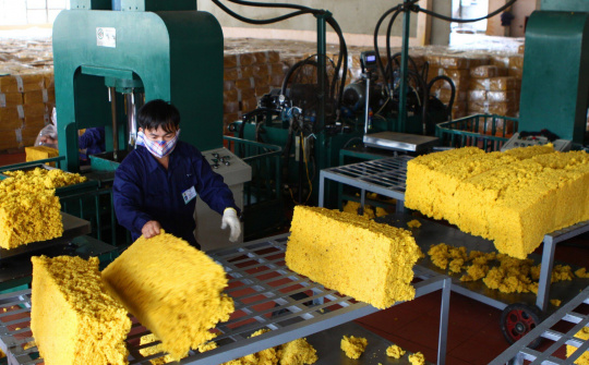 Giá xuất khẩu cao su tháng 8 giảm 14,4% so với cùng kỳ, chờ đà phục hồi trong quý IV