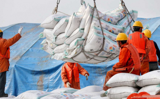 Bloomberg: Giá phân ure tăng vọt, Trung Quốc yêu cầu tạm dừng xuất khẩu