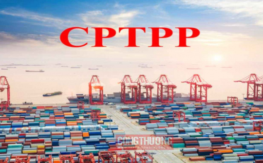 Thêm Malaysia, Chile và Brunei được áp dụng thuế xuất nhập khẩu ưu đãi theo Hiệp định CPTPP