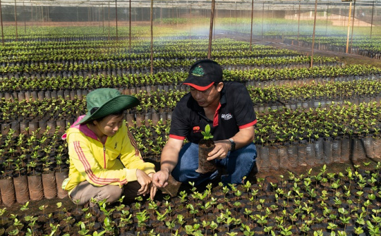 Nestlé được vinh danh thương hiệu thực phẩm giá trị nhất thế giới