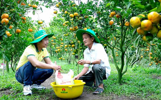 Đạm Cà Mau (DCM): Tiêu thụ ure và NPK trong tháng 9 tăng vọt