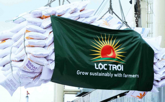 Tập đoàn Lộc Trời (LTG) bổ nhiệm tân Tổng Giám đốc, kỳ vọng thoát khỏi khủng hoảng
