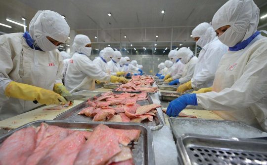 Tồn kho cá tra tại Mỹ giảm mạnh, kỳ vọng Thủy sản Vĩnh Hoàn (VHC) hưởng lợi lớn