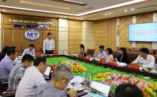 Sắp xếp lại Công ty Môi trường - TKV thành chi nhánh của Tập đoàn TKV