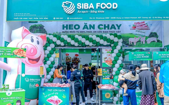 Quy mô đàn tăng trưởng nhanh, "heo ăn chay" BaF Việt Nam (BAF) báo lãi tăng gấp 4,6 lần