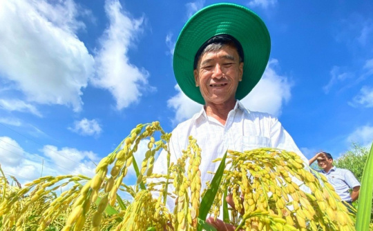 Phân bón Bình Điền: Giúp người nông dân làm chủ cánh đồng lúa thông minh