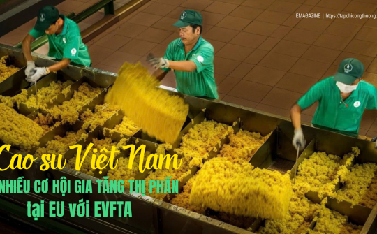 [eMagazine] Cao su Việt Nam: Nhiều cơ hội gia tăng thị phần tại EU với EVFTA