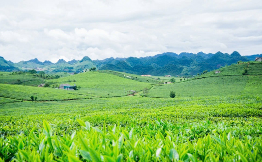 Phân bón Văn Điển - Hướng đi mới trong canh tác nông nghiệp bền vững