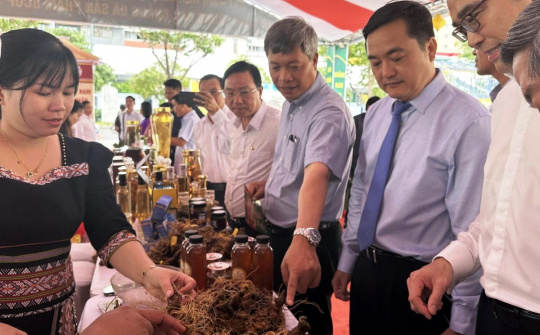 Kết nối giao thương sản phẩm OCOP Quảng Nam với doanh nghiệp xuất khẩu TP. Hồ Chí Minh