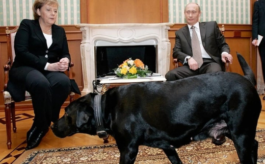 Quốc tế nổi bật: Tổng thống Nga Vladimir Putin xin lỗi bà Angela Merkel