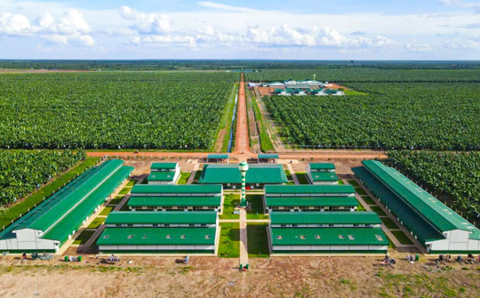 THACO AGRI tuyển dụng hơn 6.100 nhân sự trong quý 3/2024