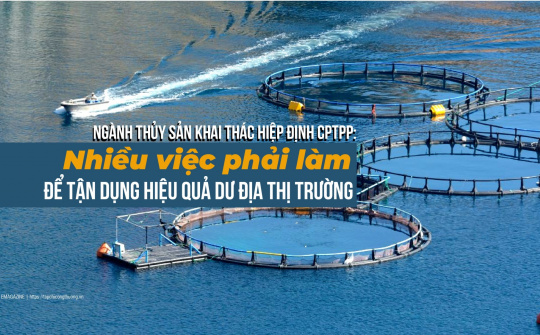 [eMagazine] Ngành thủy sản khai thác Hiệp định CPTPP: Nhiều việc phải làm để tận dụng hiệu quả dư địa thị trường