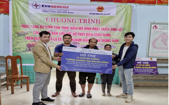 Công ty Thủy điện Sông Bung trao tặng 30 con bò giống cho hộ nghèo tại Quảng Nam