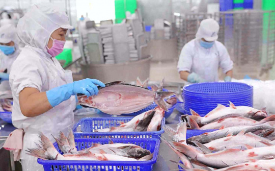 Thủy sản Vĩnh Hoàn (VHC): Xuất khẩu sang Mỹ, EU, Trung Quốc tăng trưởng tới 40%