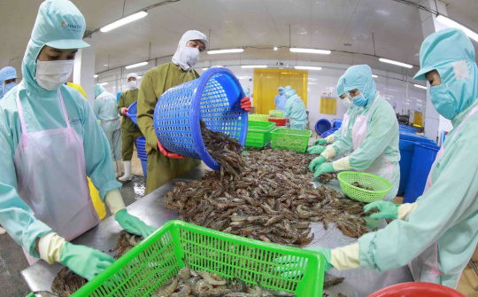 Hàng rào phòng vệ tại các thị trường "dày đặc", Bộ Công Thương đẩy mạnh hỗ trợ doanh nghiệp ứng phó