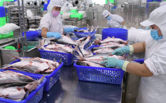 Tập đoàn GELEX (GEX) lấn sân sang mảng thuỷ sản, trở thành cổ đông lớn của SEAPRODEX