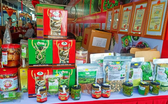 HTX Nông nghiệp sạch Sơn Hà: Thực hiện hiệu quả Chương trình phát triển sản phẩm OCOP tỉnh Quảng Ngãi