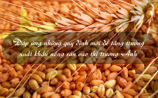 [eMagazine] Đáp ứng những quy định mới để tăng trưởng xuất khẩu nông sản vào thị trường Anh