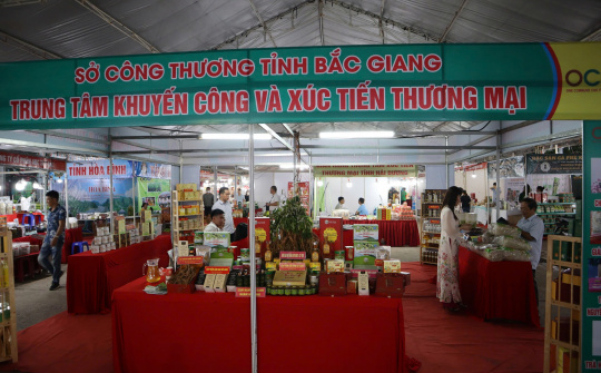 Bắc Giang: Đạt kết quả ấn tượng trong hoạt động khuyến công, xúc tiến thương mại và tiết kiệm năng lượng