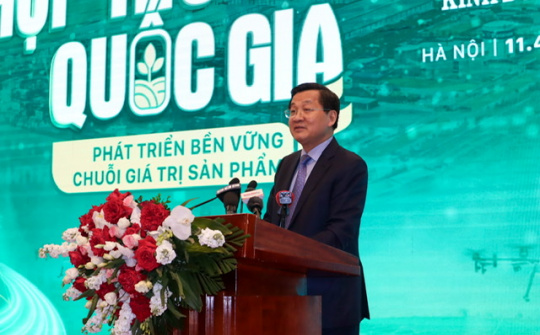 Đến năm 2045 có ít nhất 75% tổ chức kinh tế tập thể tham gia liên kết theo chuỗi giá trị