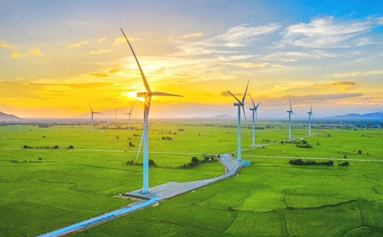 “Trùm năng lượng tái tạo” Điện Gia Lai (GEG) hoãn họp Đại hội cổ đông thường niên